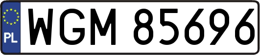 WGM85696