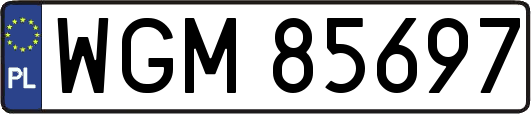 WGM85697
