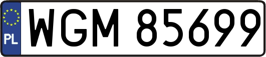 WGM85699