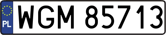 WGM85713