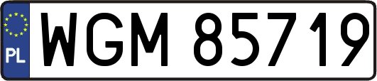 WGM85719