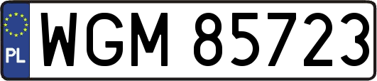 WGM85723