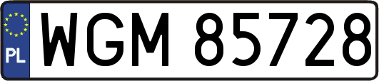WGM85728