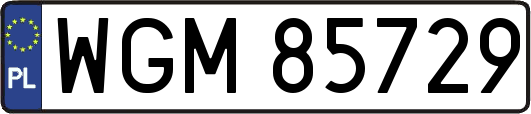 WGM85729