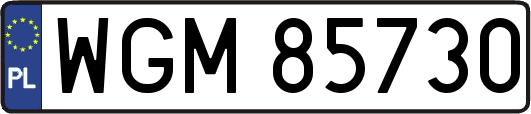 WGM85730
