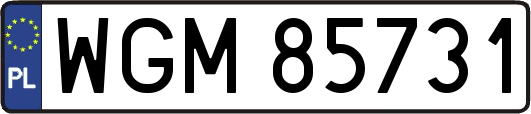 WGM85731
