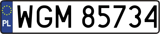 WGM85734