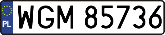 WGM85736