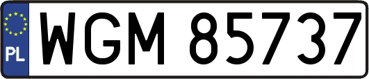 WGM85737