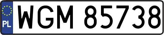 WGM85738