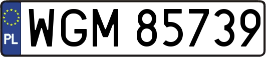 WGM85739