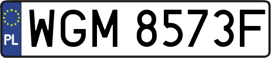WGM8573F