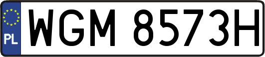 WGM8573H