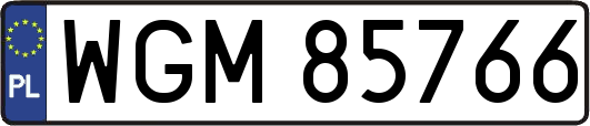 WGM85766