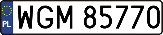 WGM85770