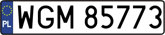 WGM85773