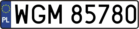 WGM85780