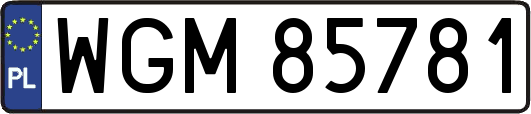 WGM85781