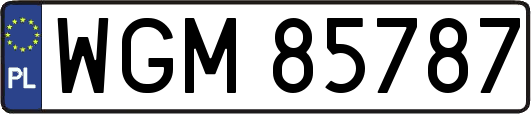 WGM85787