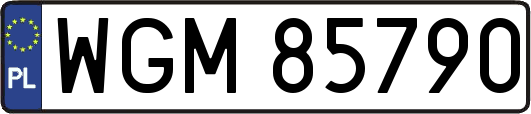 WGM85790