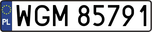 WGM85791