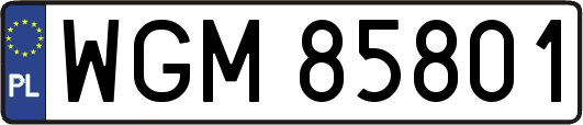 WGM85801