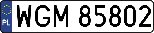 WGM85802
