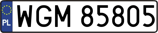 WGM85805