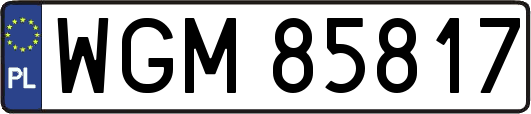 WGM85817