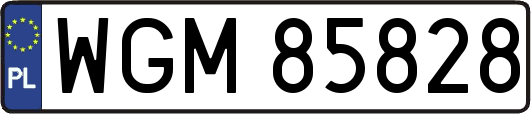 WGM85828
