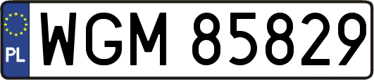 WGM85829