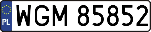 WGM85852