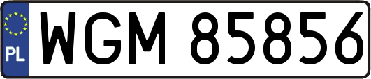 WGM85856