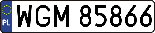 WGM85866