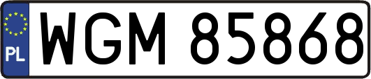 WGM85868