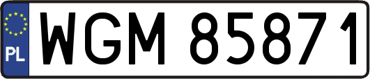 WGM85871