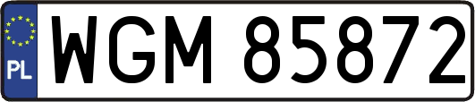 WGM85872