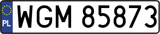 WGM85873
