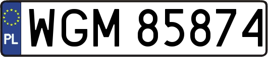 WGM85874