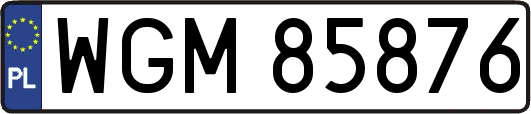 WGM85876
