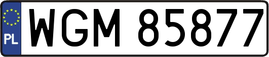 WGM85877