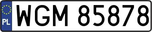 WGM85878