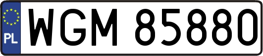 WGM85880