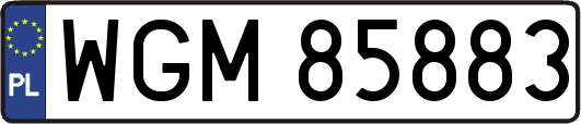 WGM85883