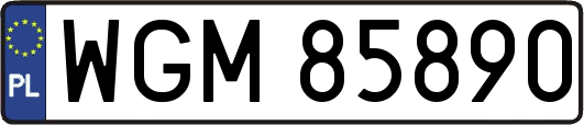 WGM85890