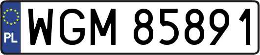 WGM85891