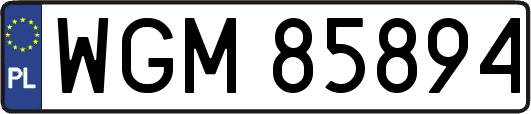 WGM85894