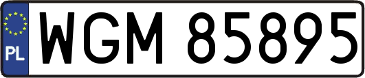 WGM85895