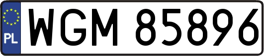 WGM85896