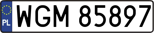 WGM85897